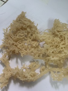 Nori naturel cru, torréfié, biologique, sauvage et frais en sachet pour smoothies et boissons - Product Image 3
