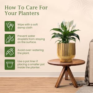 กระถางต้นไม้ทองเหลืองตกแต่งสไตล์โมเดิร์นสำหรับตกแต่งภายในและภายนอกอาคารจากผู้ผลิตในอินเดียสำหรับการส่งออกจำนวนมาก - Product Image 5