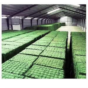 Alfalfa Hay Animal Feed High Fiber Dried Forage Hay Bale for Horses Cattle Sheep Wholesale Bulk Supply Export Supplier - Product Image 5