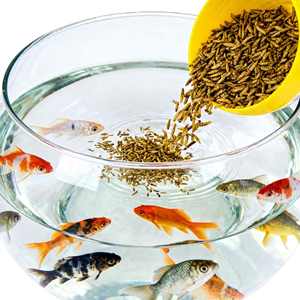 Alimento Seco en Polvo para Mascotas, Puro y Libre de Impurezas, Rico en Proteínas, Hecho de Larvas de Mosca Negra, Apto para Mascotas. - Product Image 1