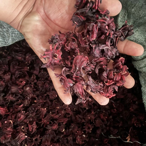 Fleurs d'hibiscus séchées du Vietnam, thé aux herbes naturelles, roselle en vrac, fabricant, fournisseur, qualité export - Product Image 1