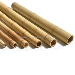 Pôles en bambou de haute qualité – Exportation directe d'usine du Vietnam, tailles personnalisées disponibles - Product Image 6