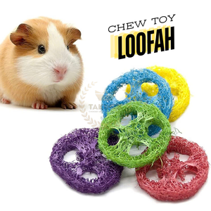 ของเล่นสำหรับเคี้ยวทำจากใยบวบธรรมชาติ100% เป็นมิตรกับสิ่งแวดล้อมสไตล์เรียบง่ายสำหรับใช้ในร่มราคามาตรฐานส่งออกจากเวียดนาม - Product Image 3