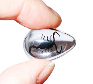 Cabochon Black Scorpion Pear Shape cut <b>top</b> 25x17 mm Clear Flat Bottom for Crafts and Jewelry Making - Product Image 2