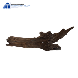 Décoration d'aquarium en bois flotté naturel Thanh Tung Thinh, forme irrégulière, écologique, bois pour aquarium en provenance du Vietnam - Product Image 2