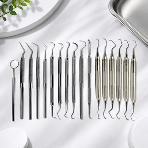 Juego de Instrumentos Quirúrgicos Dentales de Acero Inoxidable de Primera Calidad para Cirugía Oral y Procedimientos Restaurativos - Product Image 1
