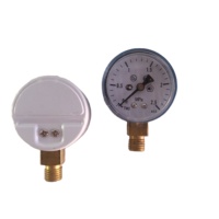 Radial Mount Bourdon Tube Pressure Gauge Electroplated Steel Case Brass Connection 2.5% Accuracy for Industrial Air Compressor