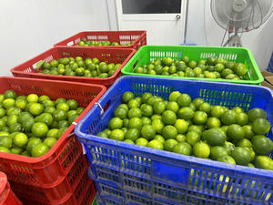 มะนาวไร้เมล็ดคุณภาพส่งออกจากเวียดนามเหมาะสำหรับการจัดจำหน่ายทั่วโลก - Product Image 4