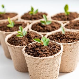 Macetas de Turba Moldeadas de Alta Calidad, Innovadoras, Libres de Bioplásticos, Seguras para Viveros, Macetas de Inicio para Cultivadores Orgánicos Profesionales 2026 - Product Image 4