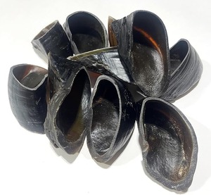 Cuernos de Búfalo Naturales de Primera Calidad para Manualidades, Tallado, Proyectos de Bricolaje, Estilo Rústico Moderno, Tacto Real - Product Image 2