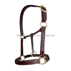 Top qualité Premium cuir fantaisie cheval licou équin équipement équestre fabricant de produits de cheval personnaliser - Product Image 1