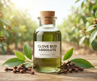 Huile absolue de clou de girofle de qualité thérapeutique, pure et naturelle, riche en eugénol, en vrac, pour l'industrie cosmétique, l'aromathérapie et la parfumerie