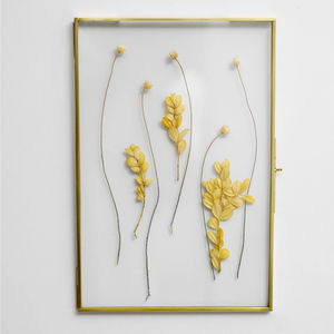 Marco de fotos colgante de latón dorado con doble cristal para exhibición de arte en pared, ideal para decoración del hogar y flores prensadas - Venta de fábrica - Product Image 3