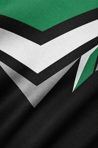 Jersey de Hockey sobre Hielo para Hombre, Verde, Negro y Blanco, con Rayas, Manga Tres Cuartos, Cuello en V, Absorbente de Humedad, Sublimado - Product Image 4