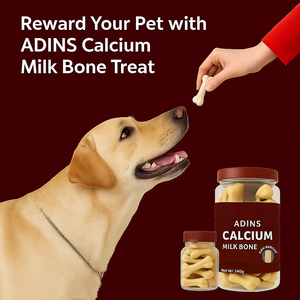 HACCP GMP fábrica al por mayor saludable calcio leche perro huesos precio inmejorable PET cuidado de la salud y suplementos - Product Image 4