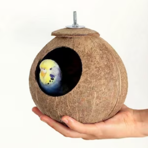 Offre Spéciale : Niche pour animaux de compagnie en coquille de noix de coco naturelle du Vietnam – Nid suspendu et cachette écologiques pour oiseaux, hamsters et petits animaux (vente en gros) - Product Image 4