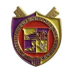 Badge en métal émaillé personnalisé avec design d'écusson, à attacher avec une épingle de sûreté, style classique, sans nickel, forme rectangulaire - Product Image 6