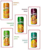 Fabrieksgemaakte geconcentreerde fruitsapdrank, meest populaire zachte fruitsap, Vietnamese tropische fruitsap, verse fruitdranken