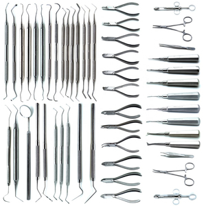 Instruments dentaires de classe I certifiés CE, en acier inoxydable, manuels, garantie 2 ans, marque personnalisée, faible coût - Product Image 1