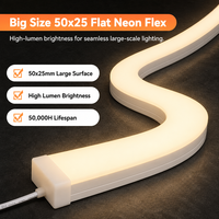 Bande LED néon flexible en cuivre à haute luminosité, grande taille 50x25, plate, étanche, pour aménagement paysager, 24V DC