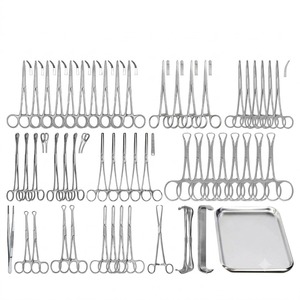Juego de 54 Instrumentos Quirúrgicos Veterinarios Personalizados para Perros, de Acero Inoxidable, Reutilizables y Autoclavables - Product Image 1