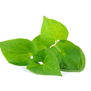 Feuilles de Heartleaf entières séchées pour les soins de la peau, emballage en vrac OEM, extrait de poudre de menthe poivrée pour les tisanes - Product Image 1