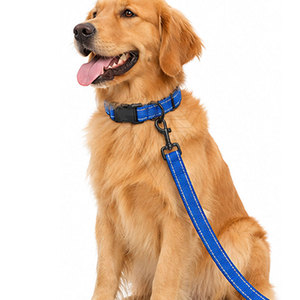 Collier de promenade réglable en cuir pour animaux de compagnie avec laisse assortie, sangle de cou, boucle en métal, anneau en D et poignée confortable - Product Image 4