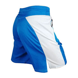 Shorts de combat MMA pour arts martiaux, personnalisables avec votre propre design de club, impression par transfert thermique, extensibles, légers et respirants - Product Image 5