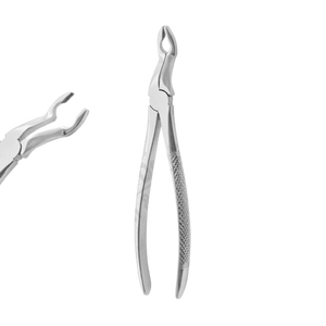 Pince d'extraction Fig 67A Troisième molaire supérieure Extraction de dents Pince chirurgicale Motif anglais Ensemble dentaire Instruments chirurgicaux - Product Image 1