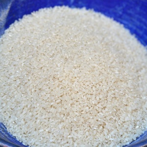 Arroz Blanco Premium de Grano Largo, Natural y Limpio, Calidad de Exportación, Precio al por Mayor para Suministro y Distribución Global de Alimentos - Product Image 4