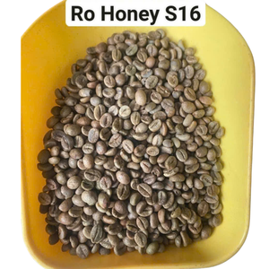 Granos de café verde Robusta S16 Origen completamente lavado Son La Vietnam Estilo Envases secos a granel al por mayor de alta calidad - Product Image 3