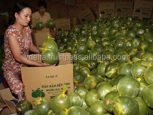 ขายร้อน2022สีเขียวผิวส้มโอทำในเวียดนามราคาโรงงานและพรีเมี่ยมคุณภาพ/นิค + 84 971 640 759 - Product Image 6