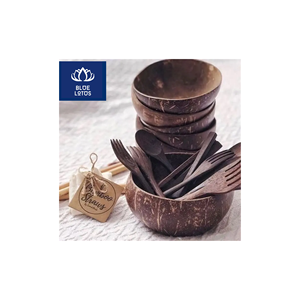 Qualité Fiable, Sûr et Écologique : Bol en Coque de Noix de Coco Pure, Idéal pour Servir des Desserts et des Collations - Product Image 1