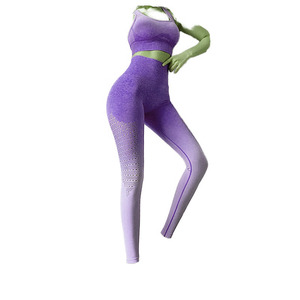 Nuevo Conjunto de Yoga para Mujer, Sin Costuras, de Alta Elasticidad, para Gimnasio, Ropa Deportiva, Precio Económico, Leggings de Yoga Personalizados - Product Image 1