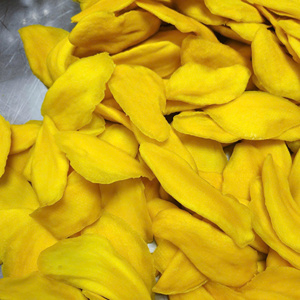 Tranches de mangue biologique séchées IQF entièrement naturelles - Snack de fruits tropicaux sucré et tendre en provenance du Vietnam, emballage sous vide, humidité maximale 15% - Product Image 6
