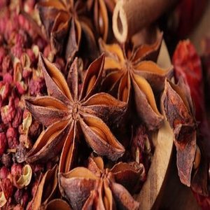 Anis étoilé indien de haute qualité, en gousses entières séchées, pour les acheteurs commerciaux, les distributeurs mondiaux et l'approvisionnement en ingrédients en gros - Product Image 6