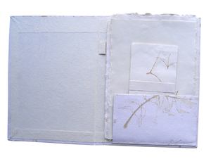 ชุดอุปกรณ์การเรียนสำหรับนักเรียน กระดาษพรีเมียมคุณภาพสูง 10 แผ่น A4 พร้อมหัวจดหมาย + ซองจดหมาย 5 ซอง บรรจุเป็นชุดในแฟ้ม - Product Image 2