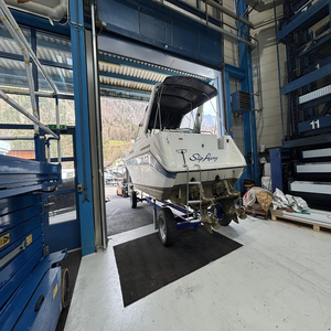 S-e-a R-a-y 270 S-u-n-d-a-n-c-e-r - Product Image 1