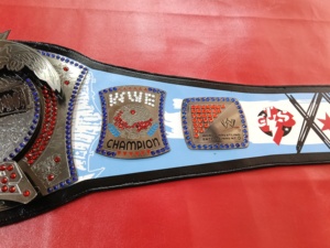 เข็มขัดแชมป์ MMA โลหะผสมสังกะสี ลายอินทรี ประดับอัญมณีสีแดงน้ำเงิน น้ำหนักเบา ความยาว 1.2 เมตร สำหรับทุกเพศ อุปกรณ์ศิลปะการต่อสู้ 1 ชิ้น - Product Image 3