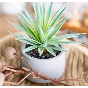 Plante artificielle succulente de style ferme de 7 pouces, pot de verdure artificielle pour intérieur, fausse plante succulente, plante d'intérieur artificielle de style ferme - Product Image 5