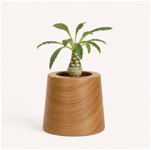 Macetero Artesanal de Madera de Teca Ecológico, Minimalista, para Interiores/Exteriores, Decoración de Jardín y Hogar, Macetero de Madera Sólida para Escritorio - Product Image 5