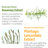 K Beauty Exfoliant Visage Herbal Purifiant à l'Aloe Vera, Extrait de Feuille d'Equisetum Arvense, Panthénol, Calendula, Romarin pour Soin des Pores
