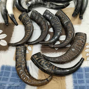 Corneta Tradicional de Búfalo Grande con Cordón de Cuero, Instrumento Musical Tradicional a Precio Económico - Product Image 5