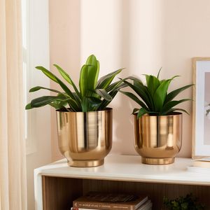 Pots de plantes en métal doré, pots ronds d'intérieur avec trous de drainage, pots de fleurs décoratifs pour la maison, le jardin, le bureau - Product Image 3