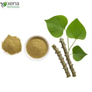 Fournisseur de produits naturels : Extrait soluble d'huile de Guduchi, ingrédient botanique pour produits à base de plantes - Product Image 2