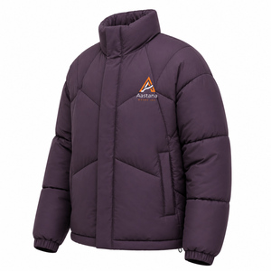 Custom Oversized Canvas Puffer Jacket Hooded Waterproof Lightweight <b>Winter</b> Breathable Outdoor Streetwear OEM - Product Image 1