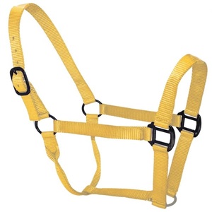 New Stylish Premium Quality Durable Lightweight Nylon Horse <b>Halter</b> in Three Vibrant Colors and Black Plated Zinc Hardware - Product Image 4