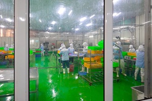 ลิ้นจี่กระป๋องในน้ำเชื่อมเบาๆเขตร้อนมีฉลากส่วนตัวผลิตจากเวียดนาม - Product Image 3