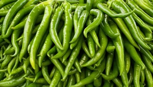 Chile Verde Fresco, Pimiento Picante Largo, Vegetal Entero para Cocinar y Servir Alimentos - Product Image 3