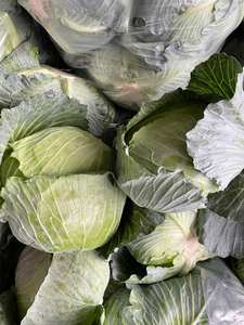 Cube coupe congelé vert frais biologique congelé IQF congelé d'origine vietnamienne à prix réduit - Product Image 6